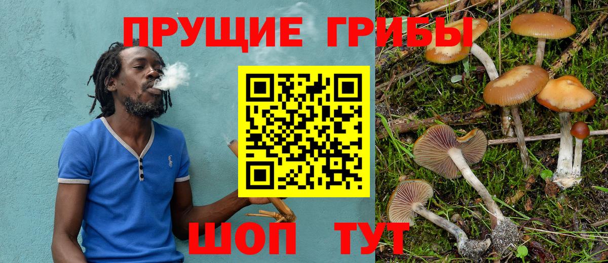 Псилоцибиновые грибы ЛСД Бутурлиновка