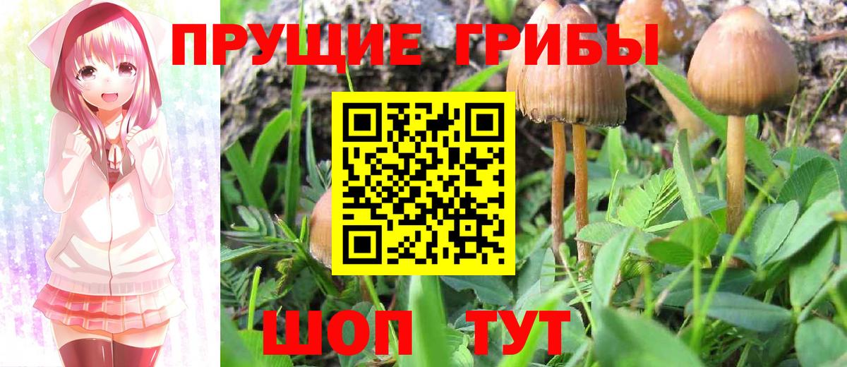 Псилоцибиновые грибы MAGIC MUSHROOMS  Вход с VPN  Бутурлиновка 